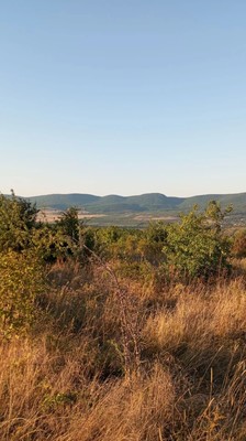Продам землю для коммерческого использования 2 соток, Фермерское хоз., Богатое с