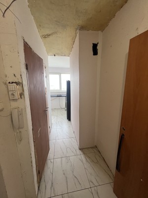 Продам однокомнатную (1-комн.) квартиру, Придорожная аллея, 9к1, Санкт-Петербург г