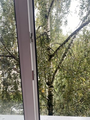 Сдам комнату в 3-комн. квартире, Павловская ул, 90, Колпино г