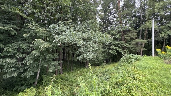 Продам участок 30 соток, ИЖС, Витовка мкр, Коробово д, 0 км от города