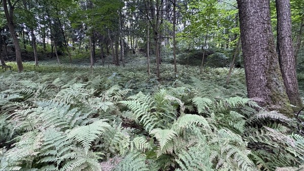 Продам участок 30 соток, ИЖС, Витовка мкр, Коробово д, 0 км от города