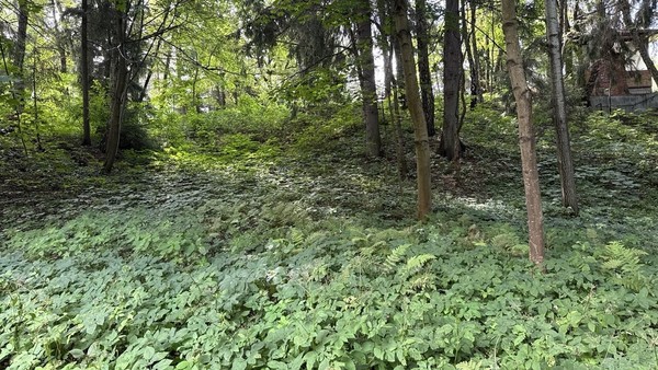 Продам участок 30 соток, ИЖС, Витовка мкр, Коробово д, 0 км от города