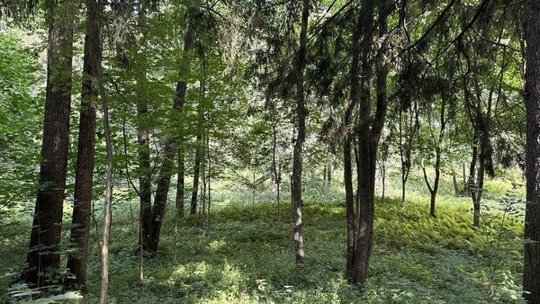 Продам участок 30 соток, ИЖС, Витовка мкр, Коробово д, 0 км от города