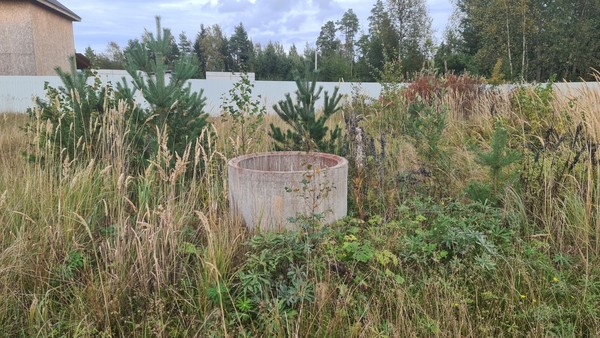 Продам участок 10 соток, Садоводство, Мира ул, Сосновый Бор г, 0 км от города