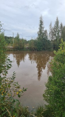 Продам участок 10 соток, Садоводство, Мира ул, Сосновый Бор г, 0 км от города