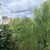 Продам двухкомнатную (2-комн.) квартиру, Нахимовский пр-кт, 37к2, Москва г