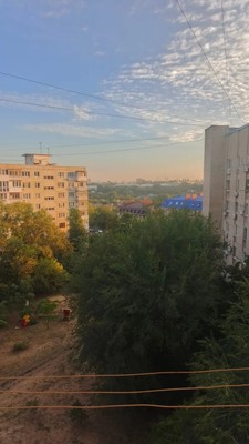 Продам однокомнатную (1-комн.) квартиру, Борко ул, 3к2, Ростов-на-Дону г