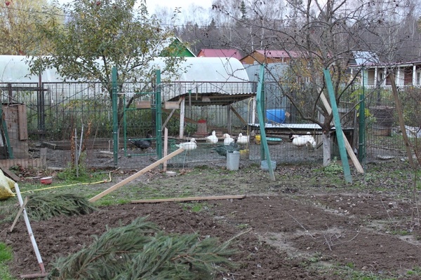 Продам дом, Пойма снт, Химки г, 0 км от города