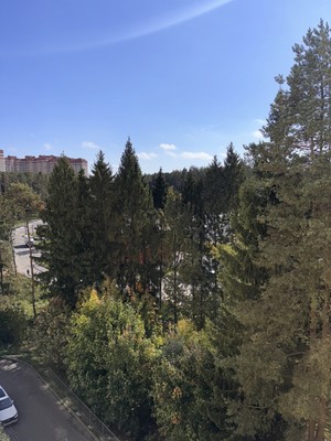 Продам однокомнатную (1-комн.) квартиру, Полковника милиции Курочкина ул, 17, Троицк г