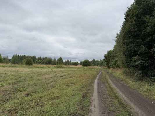 Продам участок 80 соток, ИЖС, Вышетравино с, 0 км от города