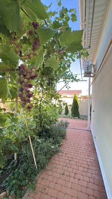 Продам дом, Солнечная (Виктория тер. ДНТ) ул, 73, Ленина х, 0 км от города