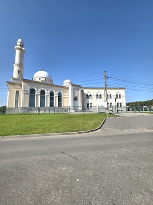 Сдам однокомнатную (1-комн.) квартиру, Выборгская ул, 2, Казань г