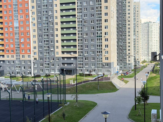 Продам однокомнатную (1-комн.) квартиру, Русская ул, 5, Анкудиновка д