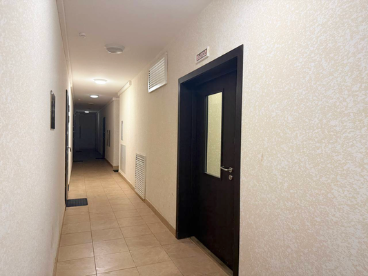 Продам однокомнатную (1-комн.) квартиру, Русская ул, 5, Анкудиновка д