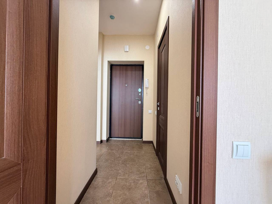 Продам однокомнатную (1-комн.) квартиру, Русская ул, 5, Анкудиновка д