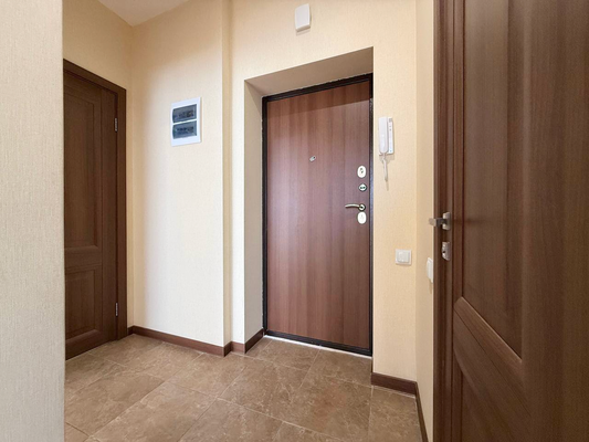 Продам однокомнатную (1-комн.) квартиру, Русская ул, 5, Анкудиновка д