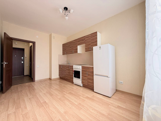 Продам однокомнатную (1-комн.) квартиру, Русская ул, 5, Анкудиновка д