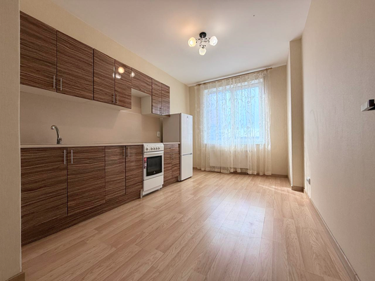 Продам однокомнатную (1-комн.) квартиру, Русская ул, 5, Анкудиновка д