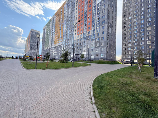 Продам однокомнатную (1-комн.) квартиру, Русская ул, 5, Анкудиновка д