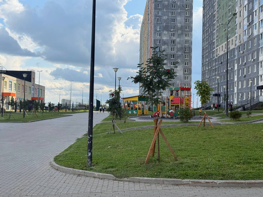 Продам однокомнатную (1-комн.) квартиру, Русская ул, 5, Анкудиновка д