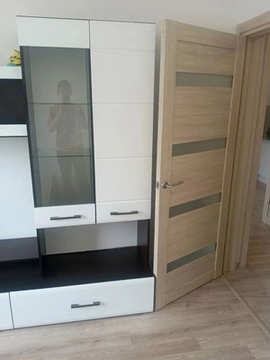 Сдам однокомнатную (1-комн.) квартиру, Пейзажная ул, 18к2, Санкт-Петербург г