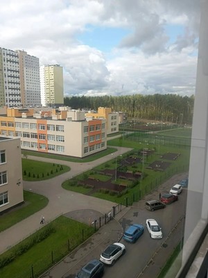 Сдам однокомнатную (1-комн.) квартиру, Пейзажная ул, 18к2, Санкт-Петербург г