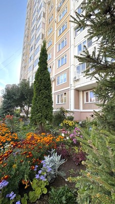 Продам однокомнатную (1-комн.) квартиру, Академика Доллежаля (Кузнечики мкр.) ул, 22, Подольск г