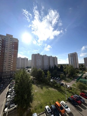 Продам однокомнатную (1-комн.) квартиру, Академика Доллежаля (Кузнечики мкр.) ул, 22, Подольск г