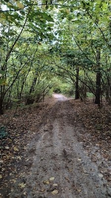 Продам участок 15,01 соток, ИЖС, Боборыкино д, 0 км от города