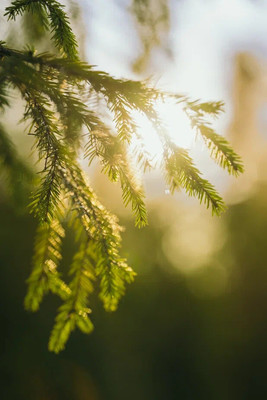 Продам дом, Клинское с, 0 км от города