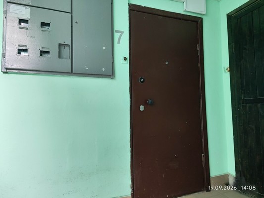 Продам двухкомнатную (2-комн.) квартиру, Богатырский пр-кт, 3к1, Санкт-Петербург г