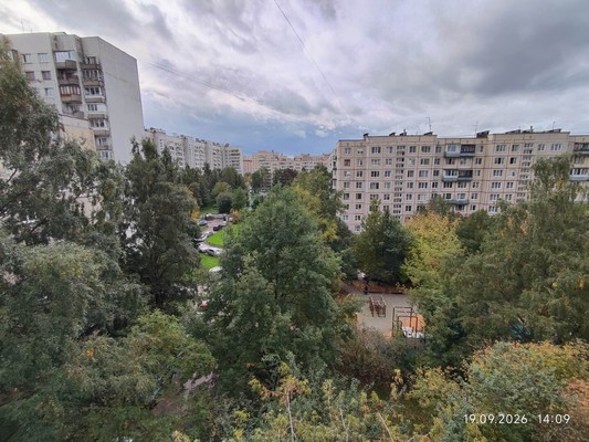 Продам двухкомнатную (2-комн.) квартиру, Богатырский пр-кт, 3к1, Санкт-Петербург г