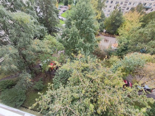 Продам двухкомнатную (2-комн.) квартиру, Богатырский пр-кт, 3к1, Санкт-Петербург г