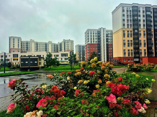 Продам двухкомнатную (2-комн.) квартиру, Екатерининская ул, 23, Мурино п