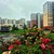 Продам двухкомнатную (2-комн.) квартиру, Екатерининская ул, 23, Мурино п