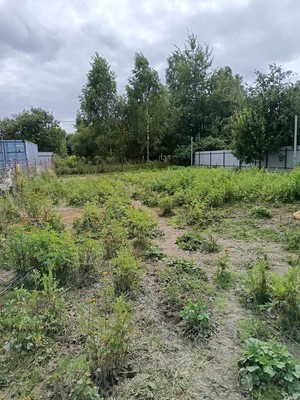 Продам участок 6 соток, ИЖС, Николаевская ул, Лаговское д, 0 км от города