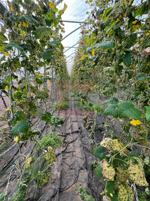 Продам склад 13 789 м2, Аграрная ул, 6, Переславское п