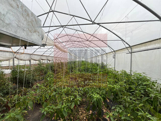 Продам склад 13 789 м2, Аграрная ул, 6, Переславское п