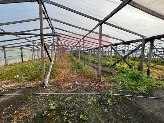Продам склад 13 789 м2, Аграрная ул, 6, Переславское п