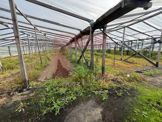 Продам склад 13 789 м2, Аграрная ул, 6, Переславское п