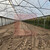 Продам склад 13 789 м2, Аграрная ул, 6, Переславское п