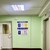 Сдам однокомнатную (1-комн.) квартиру, Замшина ул, 52к2, Санкт-Петербург г