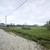 Продам участок 8 соток, ИЖС, Южная ул, Семигорский х, 0 км от города