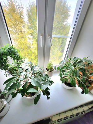 Продам трехкомнатную (3-комн.) квартиру, Покровский б-р, 4к17, Москва г