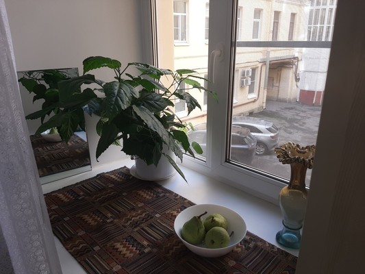 Сдам комнату в 3-комн. квартире, Большая Посадская ул, 9, Санкт-Петербург г