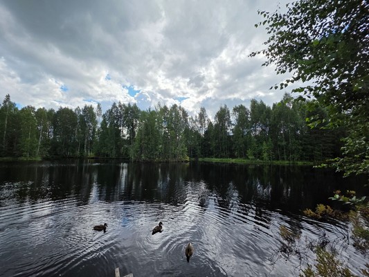 Продам дом, Добрая (Калевала снт) ул, 5, Костомукша г, 0 км от города