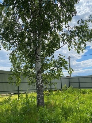 Продам участок 12 соток, Садоводство, Обухово д, 0 км от города