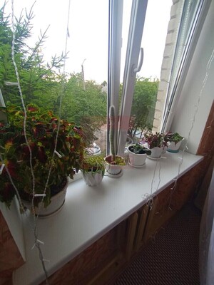 Продам двухкомнатную (2-комн.) квартиру, Мира ул, 8, Светлый г