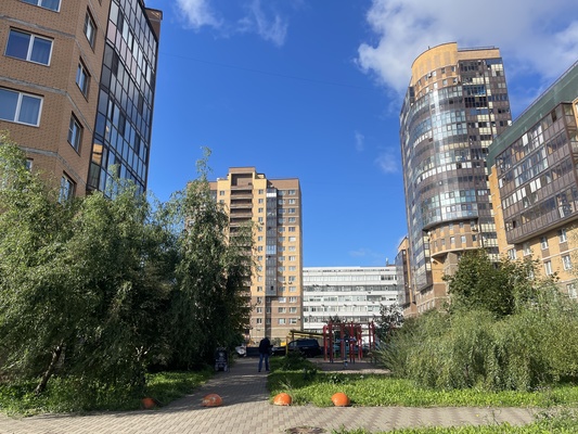 Продам однокомнатную (1-комн.) квартиру, Шкапина ул, 42, Санкт-Петербург г