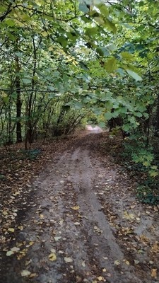 Продам участок 10 соток, ИЖС, Боборыкино д, 0 км от города
